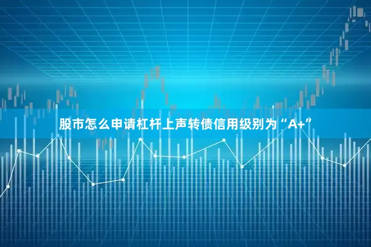 股市怎么申请杠杆上声转债信用级别为“A+”