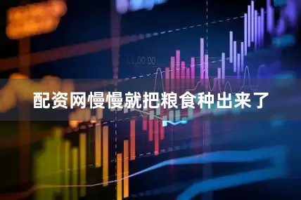 配资网慢慢就把粮食种出来了