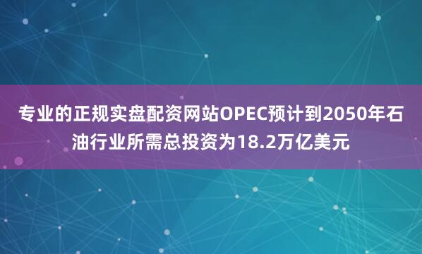专业的正规实盘配资网站OPEC预计到2050年石油行业所需总投资为18.2万亿美元