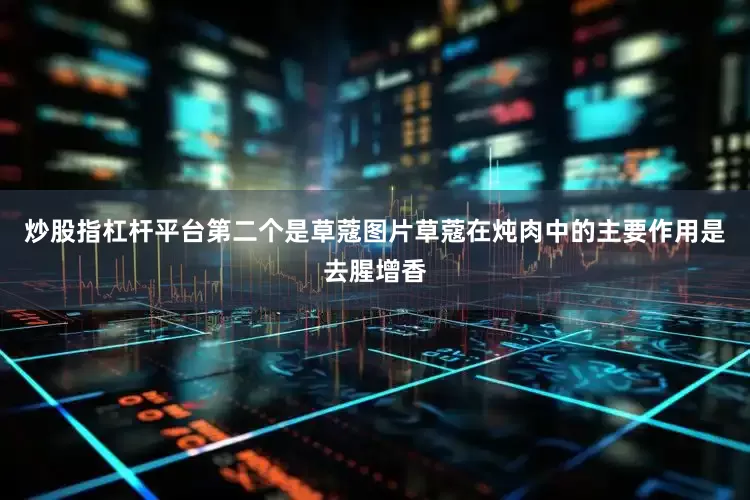 炒股指杠杆平台第二个是草蔻图片草蔻在炖肉中的主要作用是去腥增香